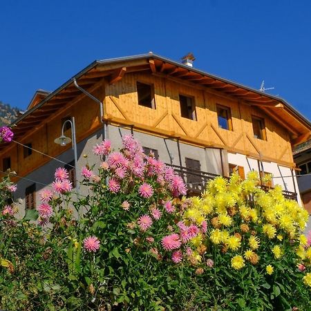 B&B Butterfly Bresimo Esterno foto